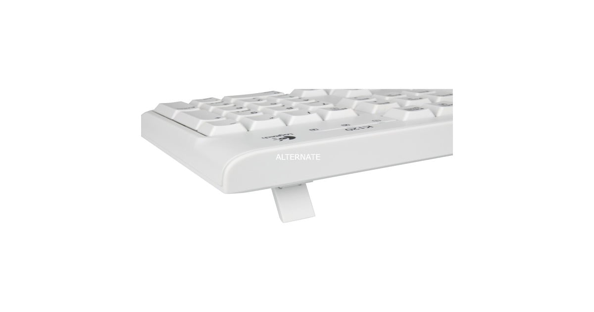 DE-Layout K120, Tastatur weiß, Keyboard Logitech