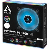 ARCTIC P12 PWM PST RGB 0dB 120x120x25, Gehäuselüfter schwarz/transparent, 120 mm
