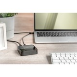 Digitus Dual M.2 NVM SSD Docking Station, Dockingstation schwarz, USB-C, M2 SSD