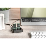 Digitus Dual M.2 NVM SSD Docking Station, Dockingstation schwarz, USB-C, M2 SSD