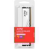 ADATA DIMM 8 GB DDR5-5600 (1x 8 GB), Arbeitsspeicher weiß, AX5U5600C468G-SLABWH, XPG Lancer Blade, INTEL XMP, AMD EXPO