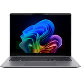 ASUS ExpertBook P5 (P5405CSA-NZ0778X), Notebook grau, Intel® Core™ Ultra 7 258V, Intel® Arc™ Graphics 140V, 32 GB LPDDR5X, 1 TB (1 TB SSD), Windows 11 Pro 64-Bit