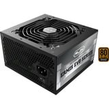 RAIJINTEK ERMIS EVO 650B, PC-Netzteil schwarz, 2x PCIe, 650 Watt
