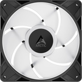 ARCTIC P14 Pro A-RGB, Gehäuselüfter schwarz, 3er Pack, 140 mm