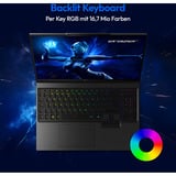 Medion  ERAZER Beast 16 X15 Ultimate (MD600070), Gaming-Notebook schwarz, AMD Ryzen 9 8940HX, NVIDIA GeForce RTX 5070 Ti, 32 GB DDR5, 1 TB (1 TB SSD), Windows 11 Home