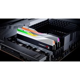 G.Skill DIMM 96 GB DDR5-6400 (2x 48 GB) Dual-Kit, Arbeitsspeicher silber, F5-6400J3239F48GX2-TZ5RS, Trident Z5 RGB, INTEL XMP