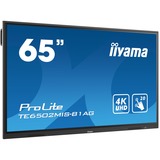 iiyama TE6502MIS-B1AG, Public Display schwarz, WLAN, Bluetooth, UltraHD/4K