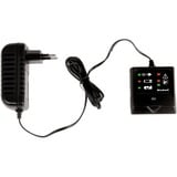 EINHELL Power X-Change Akku-Rasentrimmer GC-CT 18/24 Li P, 18Volt rot/schwarz, Li-Ionen Akku 1,5Ah