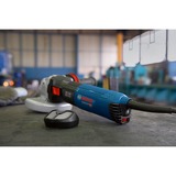 Bosch Professional Winkelschleifer GWS 17-125 S Inox Professional blau/schwarz, 1.700 Watt