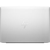 HP EliteBook 845 G10 (818N1EA), Notebook silber, Windows 11 Pro 64-Bit, 35.6 cm (14 Zoll), 512 GB SSD