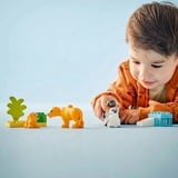 LEGO 10442 DUPLO Town Wildtier-Familien: Pinguine und Löwen, Konstruktionsspielzeug 