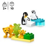 LEGO 10442 DUPLO Town Wildtier-Familien: Pinguine und Löwen, Konstruktionsspielzeug 