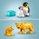 LEGO 10442 DUPLO Town Wildtier-Familien: Pinguine und Löwen, Konstruktionsspielzeug 
