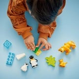 LEGO 10442 DUPLO Town Wildtier-Familien: Pinguine und Löwen, Konstruktionsspielzeug 