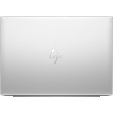 HP EliteBook 865 G11 (A26QLEA), Notebook silber, AMD Ryzen 5 8540U, AMD Radeon 740M, 16 GB DDR5, 512 GB (512 GB SSD), Windows 11 Pro 64-Bit