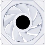 Lian Li UNI FAN TL120 LCD Reverse Blade, Gehäuselüfter weiß, 124 mm
