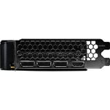 Palit GeForce RTX 5050 Dual OC 8GB, Grafikkarte DLSS 4, 3x DisplayPort, 1x HDMI 2.1