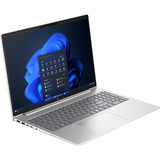HP ProBook 4 G1i (AD2N7ET), Notebook silber, Intel® Core™ Ultra 5 225U, Intel® Graphics, 32 GB DDR5, 1 TB (1 TB SSD), Windows 11 Pro