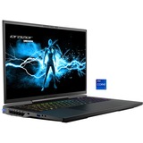 Medion ERAZER BEAST X40 (MD62505), Gaming-Notebook schwarz, Windows 11 Home 64-Bit, 240 Hz Display, 1 TB SSD