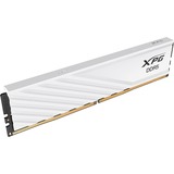 ADATA DIMM 64 GB DDR5-5600 (2x 32 GB) Dual-Kit, Arbeitsspeicher weiß, AX5U5600C4632G-DTLABWH, XPG Lancer Blade, INTEL XMP, AMD EXPO