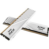 ADATA DIMM 64 GB DDR5-5600 (2x 32 GB) Dual-Kit, Arbeitsspeicher weiß, AX5U5600C4632G-DTLABWH, XPG Lancer Blade, INTEL XMP, AMD EXPO