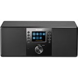 Karcher DAB 7000i, Internetradio AUX