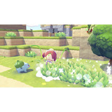 Nintendo Pokémon Pokopia-Spiel 