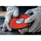 Bosch Professional X-LOCK Expert R781 Prisma Ceramic Fiberschleifscheibe, Ø 180mm, K60 25 Stück, Bohrung 22,23mm