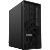 Lenovo ThinkStation P2 Tower Gen 2 (30JQ003DGE), PC-System schwarz, Windows 11 Pro