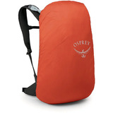 Osprey Hikelite LT 30 , Rucksack silber, 30 Liter