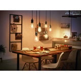 Philips HUE White Filament Lampe E27 Edison ST64 550 lm, LED-Lampe 