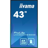 iiyama LH4360UHS-B2AG, Public Display schwarz (matt), UltraHD/4K, VA, Lautsprecher
