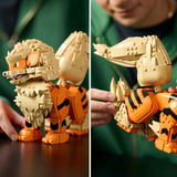 LEGO 72160 Pokémon Arkani, Konstruktionsspielzeug 