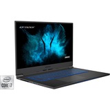 Medion ERAZER Beast X10 (30029878), Gaming-Notebook schwarz, Windows 10 Home 64-Bit, 144 Hz Display