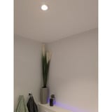 Shelly LightSolutions Hilux DS8 Einbaustrahler, LED-Leuchte weiß