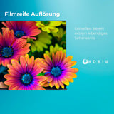 Toshiba 32WV3F63DA, LED-Fernseher 80 cm (32 Zoll), schwarz, WXGA, VIDAA-Betriebssystem