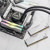 ADATA DIMM 32 GB DDR5-5600 (1x 32 GB) , Arbeitsspeicher weiß, AX5U5600C3632G-CLARWH, Lancer RGB, INTEL XMP