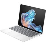 HP EliteBook X G1a (B69BHET), Notebook silber, AMD Ryzen AI 9 HX PRO 375, AMD Radeon 890M, 64 GB LPDDR5X, 2 TB (2 TB SSD), Windows 11 Pro