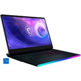MSI Raider GE76 12UGS-001, Gaming-Notebook grau, Windows 11 Home 64-Bit, 240 Hz Display, 1 TB SSD