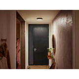 Philips HUE White Ambiance Enrave Deckenleuchte S, LED-Leuchte schwarz, inkl. Dimmschalter