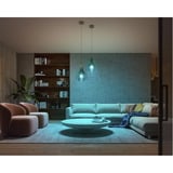 Philips HUE White Ambiance Starter-Set: E27 Lampe A60 Doppelpack + Dimmschalter, LED-Lampe 