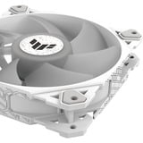 ASUS TUF GAMING TF120 ARGB White, Gehäuselüfter weiß/transparent, 120 mm