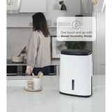 Meaco Dry Arete One 6L, Luftentfeuchter weiß/schwarz