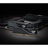 ADATA DIMM 32 GB DDR5-6000 (2x 16 GB) Dual-Kit, Arbeitsspeicher schwarz, AX5U6000C3016G-DTLABBK, XPG Lancer Blade, INTEL XMP, AMD EXPO