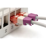 Digitus Farbclips für Patchkabel - Gemischt (je 20 Stück), Kabelclip mehrfarbig, 100 Stück
