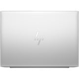 HP EliteBook 845 G11 (A26QKEA), Notebook silber, AMD Ryzen 7 PRO 8840HS, AMD Radeon 780M, 32 GB DDR5, 1 TB (1 TB SSD), Windows 11 Pro 64-Bit