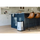 Meaco Dry Arete One 10L Kompressor-Luftentfeuchter und Luftreiniger weiß/beige, 151 Watt, für Räume bis zu 40m²