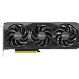 PNY GeForce RTX 5070 OC, Grafikkarte DLSS 4, 3x DisplayPort, 1x HDMI 2.1