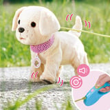 ZAPF Creation BABY born Mein Hund Lucky mit Box, Spielfigur 