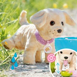 ZAPF Creation BABY born Mein Hund Lucky mit Box, Spielfigur 